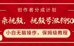 一条视频,视频号涨粉500+,开通创作者分成计划