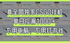 真全网独家CSGO挂机,单日捡漏1000+