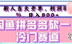 咸鱼拼夕夕砍一刀冷门暴力赛道,新人当天开单,利润百分之八十,日入 800+