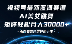 视频号蓝海赛道玩法,当天起号,拉爆流量收益,小白也能轻松月入30000+