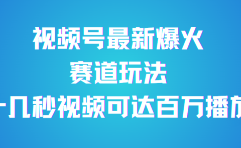 视频号最新爆火赛道玩法,流量巨大,视频制作简单,轻松月入数万