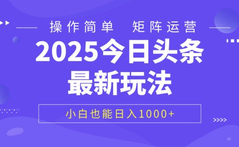 2025今日头条最新玩法,0粉可做,复制粘贴,小白也能日入1000+