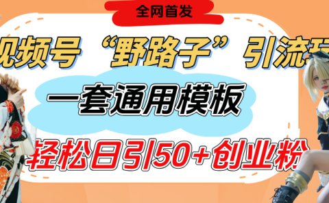 视频号“野路子”玩法，评论区疯狂截流，一套模板单日单号引流50+创业粉