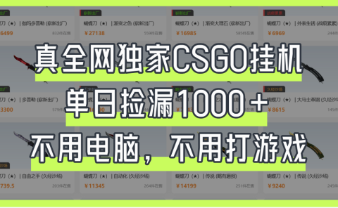 真全网独家CSGO挂机,单日捡漏1000+