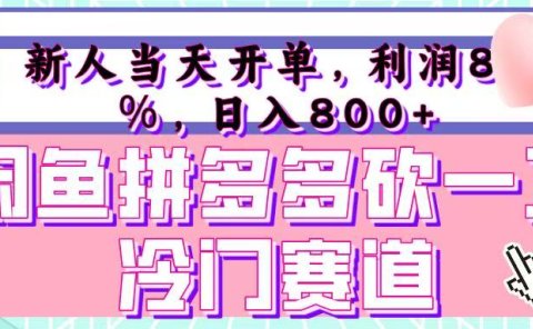 咸鱼拼夕夕砍一刀冷门暴力赛道,新人当天开单,利润百分之八十,日入 800+