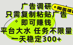 广告调研项目,只需复制粘贴广告即可赚钱,平台大水,任务不限量,一天300+