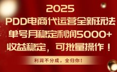 2025 PDD电商代运营全新玩法,单号月稳定利润5000+,收益稳定,可批量操作!