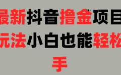 25最新抖音直播撸金项目,小白也能轻松上手!