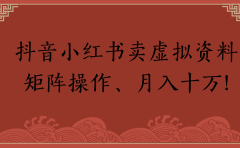 抖音小红书卖虚拟资料矩阵操作、月入十万!