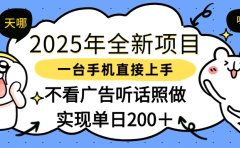 2025年全新项目一部手机轻松上手,实现单日200+