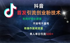 抖音最新引流创业粉技术 利用好奇心原理，不封号、不废号， 有操作就有流量，单人单日引流500+