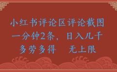 小红书评论区评论截图一分钟2条,日入几千,无上限,多劳多得