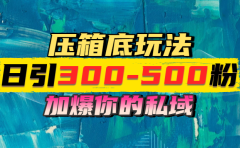 一天引流300-500粉，加爆你的私域，且都是实时变现，轻松日入1000+