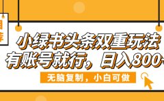 小绿书头条双重玩法,有账号就行,日入800+