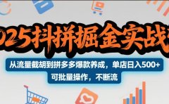 2025抖拼掘金实战营,从流量截胡到拼多多爆款养成,单店日入500+ 可批量操作,不断流