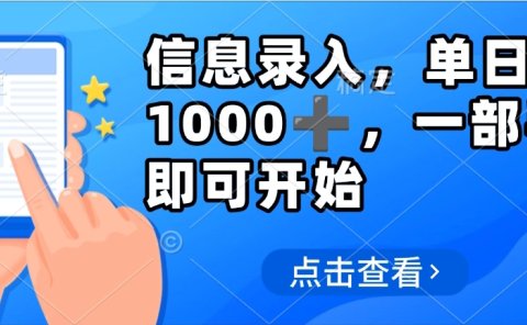 信息录入,几秒钟一单,只需一部手机即可操作,0成本,每天500➕