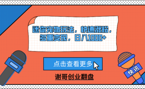 迷你宠物玩法,快速涨粉,多重变现,日入1000+