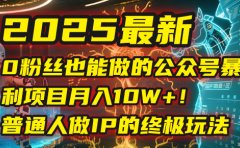 2025最新0粉丝也能做的公众号暴利项目,月入10W+!普通人做IP的终极玩法