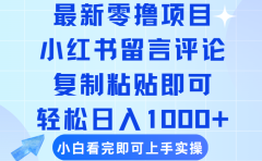 最新零撸小项目,小红书留言评论,复制粘贴即可赚钱,轻松日入1000+