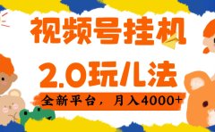 视频 号挂机 2.0 玩儿法, 全新平 台, 月入 4000+