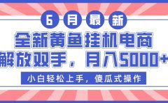 全新黄鱼挂机电商,解放双手,月入5000+
