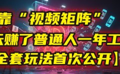 我靠“视频矩阵”,3天赚了普通人一年工资!【全套玩法首次公开】