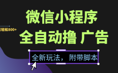 微信小程序挂机撸广告,全新玩法,新手一天轻松800+【附带脚本】