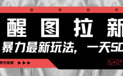 醒图拉新,暴力新玩法,光用手机三分钟制作一条视频,一天轻松500+