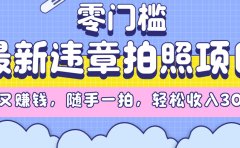 最新违章拍照项目,解气又赚钱,随手一拍,轻松收入3000+
