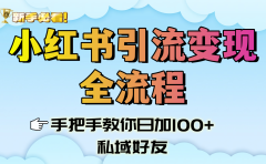 新手必看！小红书引流变现全流程，手把手教你日加100+私域好友