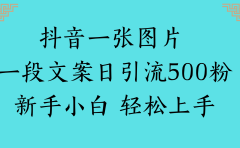 抖音一张图片 一段文案日引流500粉新手小白 轻松上手
