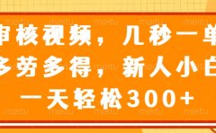 视频审核员,几秒一单,多劳多得,新人小白一天轻松300+