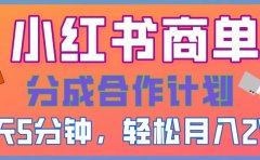 2025副业黑马曝光,0门槛小红书项目,小白也能轻松月入2万+
