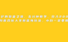 王铲铲的致富之路,日入2000+收益,五分钟教学,抖音合伙人全新蓝海玩法,小白一定要做的项目