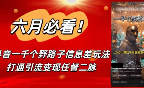 6月必看！抖音一千个野路子信息差玩法，打通引流变现任督二脉