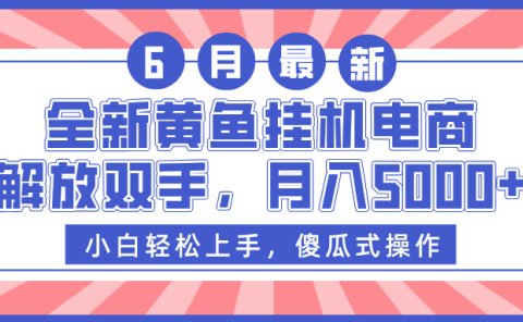 全新黄鱼挂机电商,解放双手,月入5000+