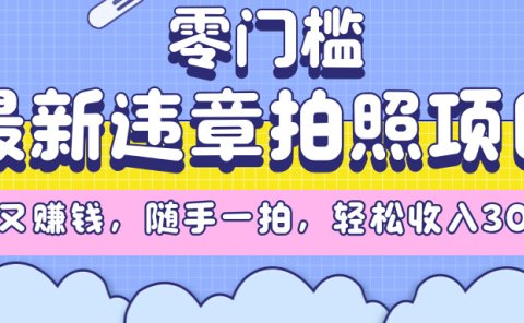 最新违章拍照项目,解气又赚钱,随手一拍,轻松收入3000+