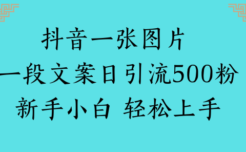 抖音一张图片 一段文案日引流500粉新手小白 轻松上手