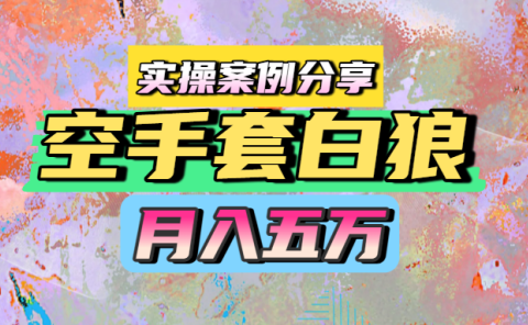 空手套白狼,月入五万,实操案例分享