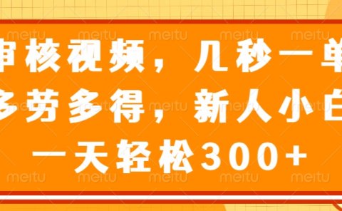 视频审核员,几秒一单,多劳多得,新人小白一天轻松300+
