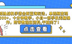 孤独战机手游全新蓝海玩法,单视频变现2000+,十分钟教学,小白一部手机无脑操作,附带教程和资料,干就完了!