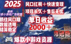 2025最新抖音小游戏广告联盟,日赚2000+从零开始的财富逆袭