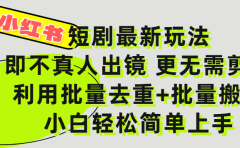 小红书短剧最新玩法,轻松日入3000+,既不真人出镜,更不用剪辑,全程搬运,傻瓜式操作,私域零成本批量操作