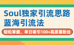 Soul独家引流思路,单日吸引100+高质量粉丝,蓝海引流法,轻松掌握