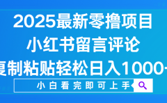 小红书留言评论,2025最新零撸项目,复制粘贴即可赚钱,轻松日入1000+