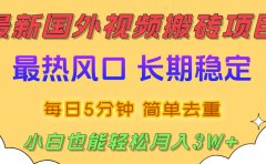 国外视频搬砖项目,2025最新热门风口,简单去重剪辑,小白也能轻松月入3W+