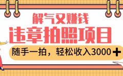 最新违章拍照赚钱,解气又赚钱的项目,随手一拍,轻松收入3000+