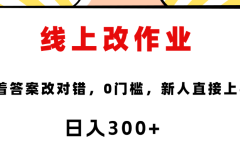 线上改作业,对着答案改就行,零门槛,新人直接上手!