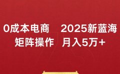 0成本电商2025新蓝海矩阵操作 月入5万+