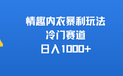 情趣内衣暴利玩法,冷门赛道,日入1000+